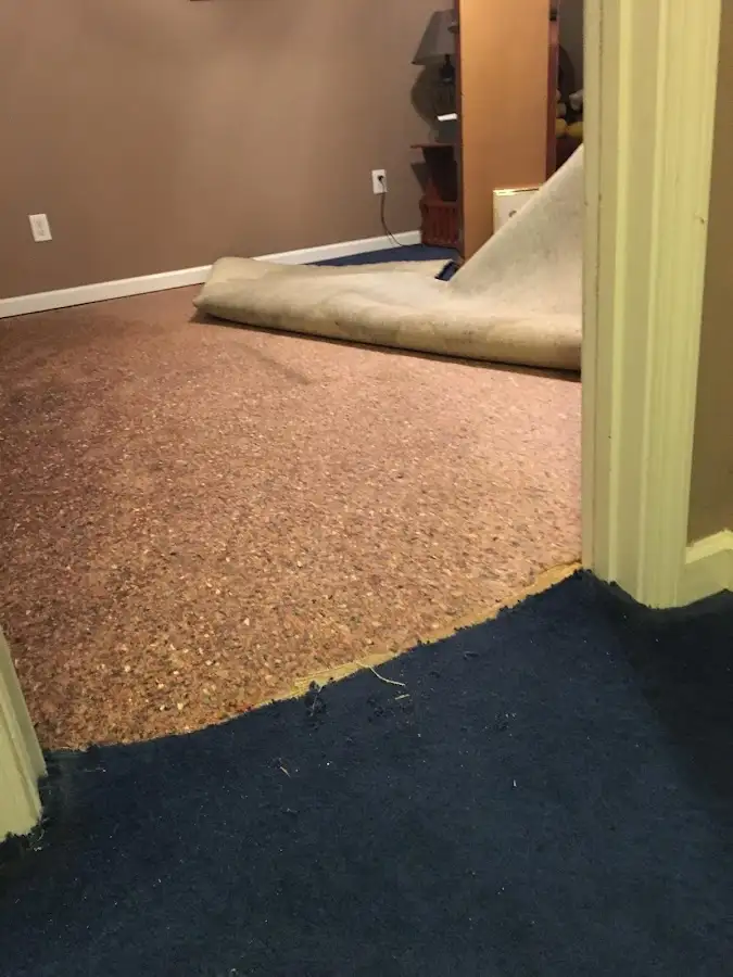Carpet pad removal revealing water damage during Water Mitigation Services in Wilmette